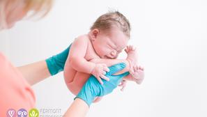 baby in the womb